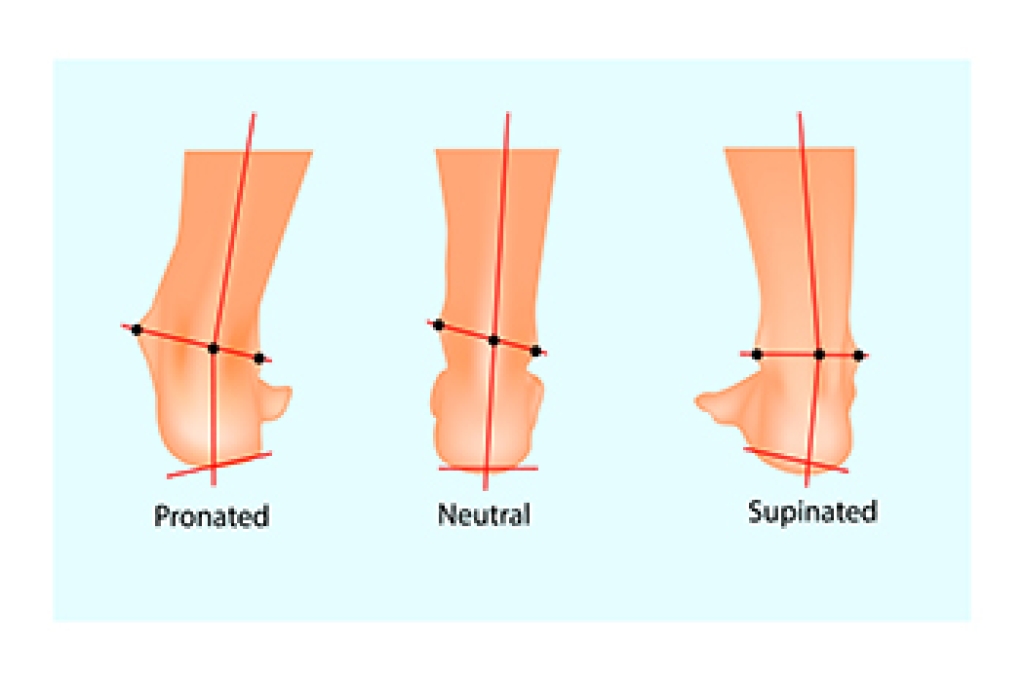 How Foot Mechanics Affect Movement